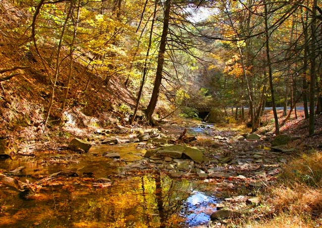 Lost River State Park - Mathias, West Virginia