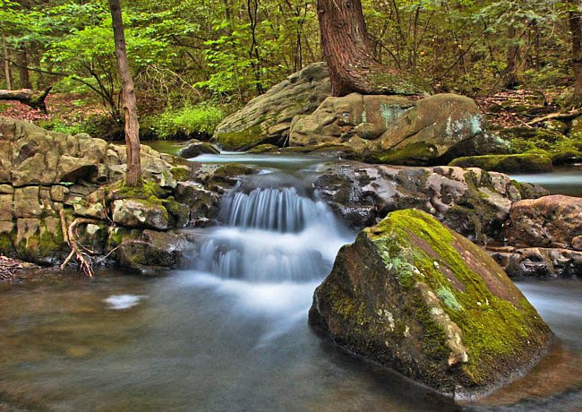 Seven Tubs Nature Area - Luzerne County, Pennsylvania