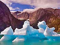 Icebergs - Sawyer Glacier