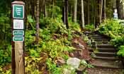 Virgin Creek Falls Trailhead  - Girdwood, Alaska