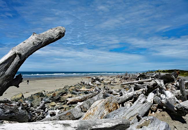 Bullards Beach - Coos Bay, Oregon