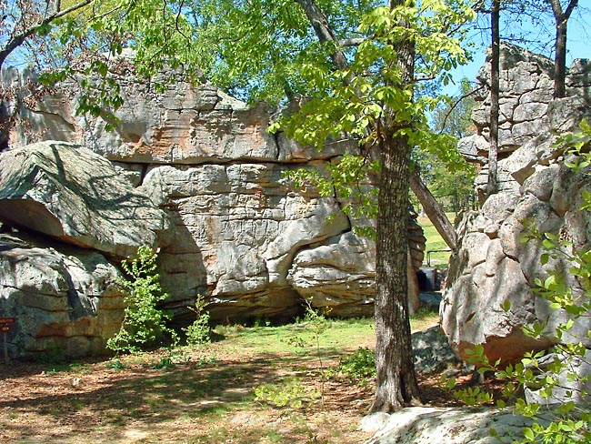 Horse Pens 40 - Steele, Alabama