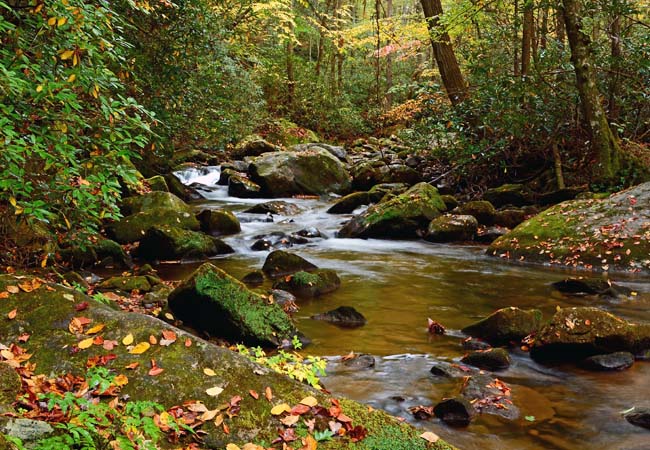 Middle Saluda River - Jones Gap State Park, Slater-Marietta, South Carolina