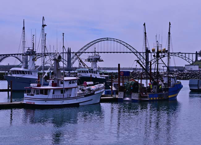 Yaquina Bay and Bridge - Newport, Oregon