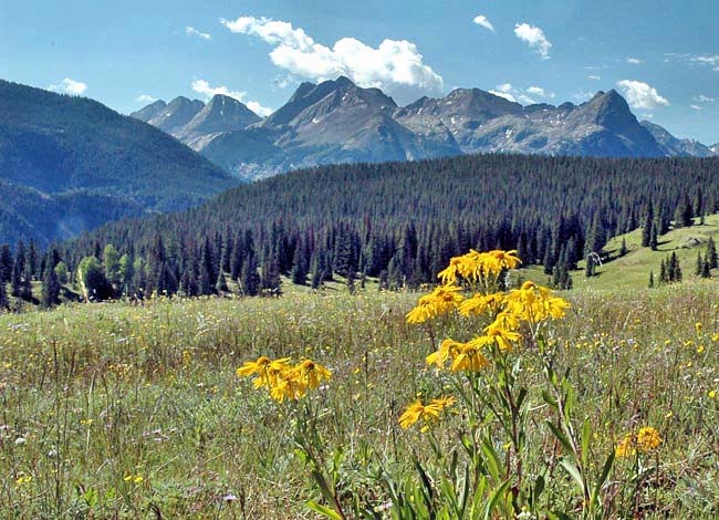 San Juan Mountains on Rt 550r - San Juan County, Colorado