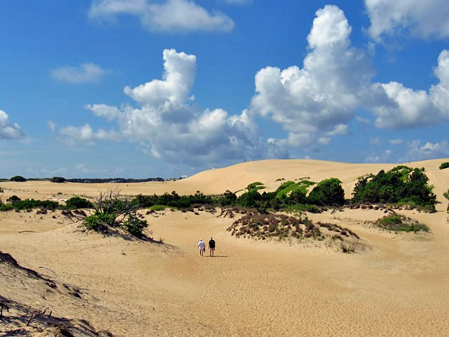 Jockey's Ridge -  Jockey's Ridge State Park, Outer Banks, North Carolina