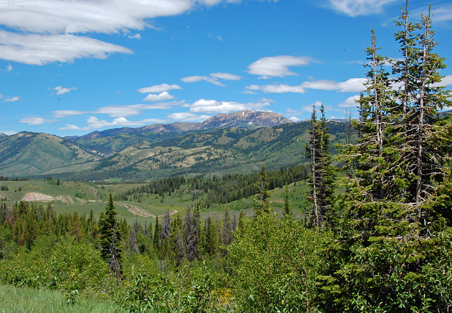 Salt River Pass - Afton, Wyoming