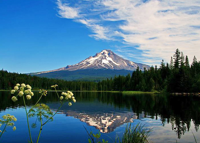 Trillium Lake - Mount Hood National Forest, Oregon