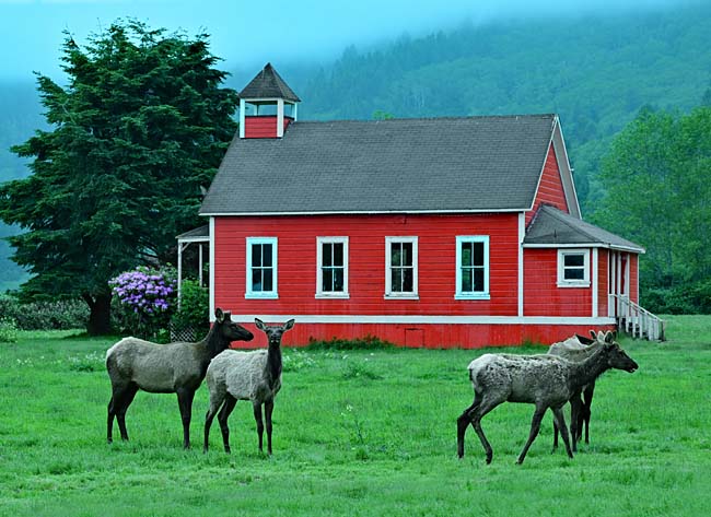 Stone Lagoon Schoolhouse (Little Red Schoolhouse) - Trinidad, California