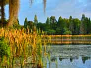 Park Lake - Alafia River State Park