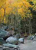 Alberta Falls Trail - Rocky Mountain National park, Colorado