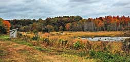 Tour Route Blind - Bombay Hook NWR