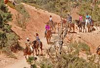 Bryce on Horseback - Bryce Canyon National Park, Utah