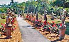 Rose Garden - Ca d Zan, Sarasota, Florida