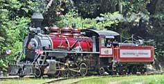 1924 Mikado class Baldwin 35 - California Western Railroad