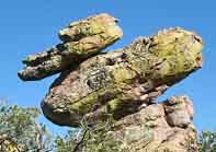 Duck on a Rock - Chiricahua National Monument, Arizona