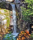 Christine Falls - Mount Rainier National Park, WA