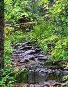 Rocky trail to Crabtree Falls  - Little Switzerland, North Carolina