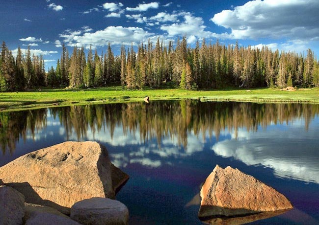 Mount Zirkel Wilderness - Steamboat Springs, Colorado