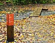 Exit Glacier Trailhead - Kenai Fjords National Park, Seward, Alaska