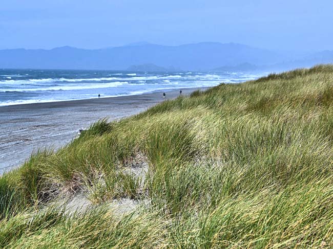 Tolowa Dunes - Crescent City, California