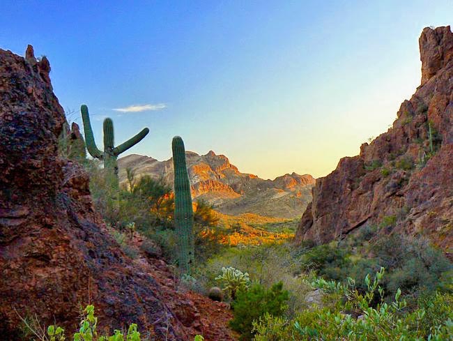 Peralta Canyon - Apache Junction, Arizona