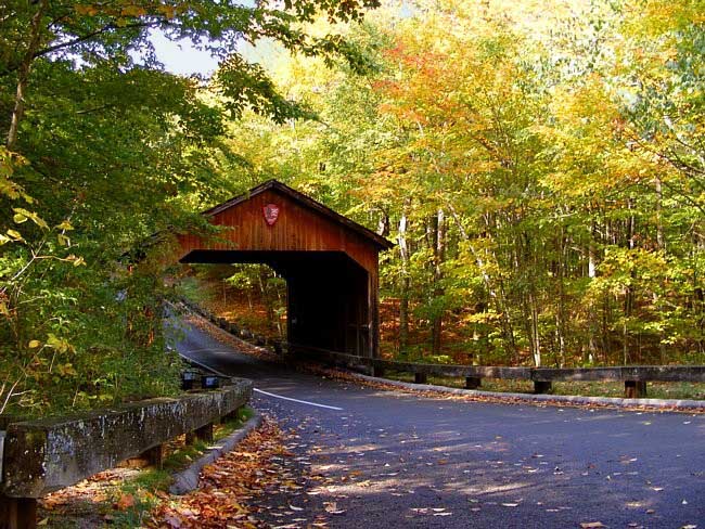 Pierce Stocking Scenic Drive - Sleeping Bear Dunes National Seashore, Michigan