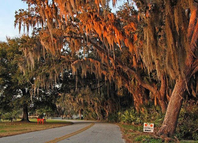 North Tropical Trail - Merritt Island, Florida