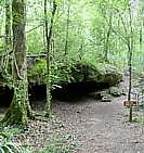 Florida Caverns Tunnel Cave