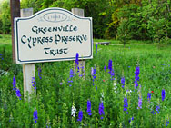 Greenville Cypress Preserve