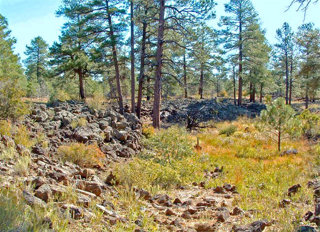 El Calderon Area - El Malpais National Monument, New Mexico