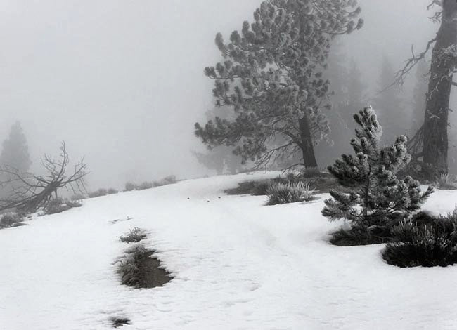 Burch Mountain View - Wenatchee, Washington