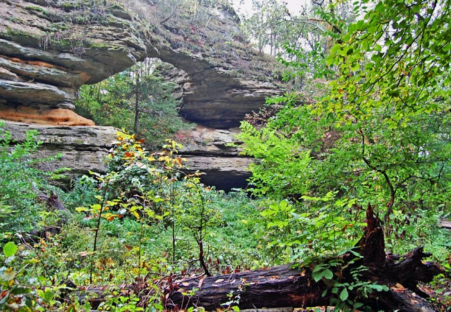 Leland Bridge - Natural Bridge State Park, Leland, Wisconsin