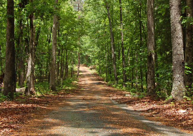 Old Trace Drive - Lawrenceburg, Tennessee