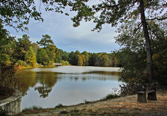 Trap Pond State Park - Laurel, Delaware