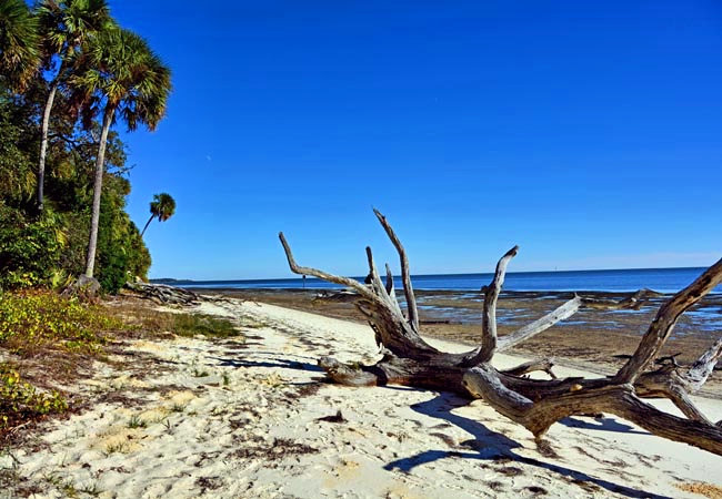 Seahorse Key - Levy County, Florida