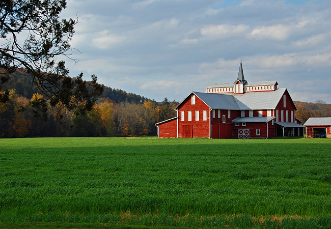 Fishing Creek Valley Farm - Benton, Pennsylvania