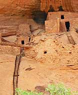 Entry Ladder - Keet Seel, Navajo National Monument, Arizona