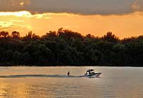 Lake Eufaula Skier