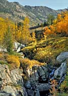 Lamoille Canyon - Lamoille, Nevada