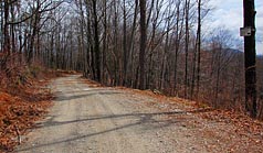 Horse Pasture Road