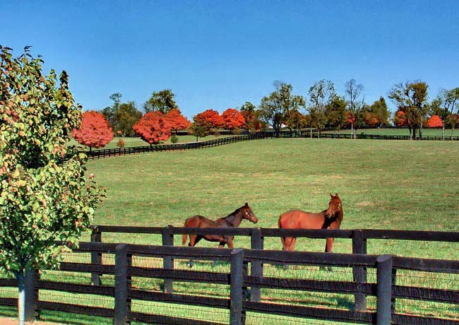 The Bluegrass Trail  - Lexington, Kentucky