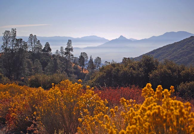 Greenhorn Mountains - Kern County, California