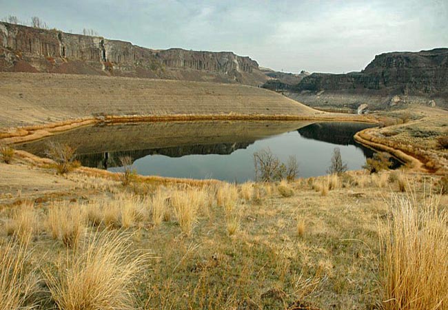 Quincy Wildlife Area - Quincy, Washington