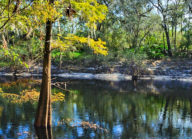 Suwannee River - White Springs, Florida