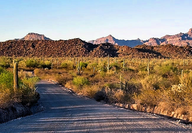 Ajo Mountain Loop - Ajo Plaza, Arizona