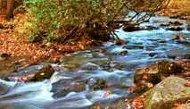 Mingus Creek - Mingus Mill Site, Great Smoky Mountain National Park