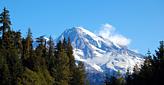 Mount Rainier from Kautz Creek