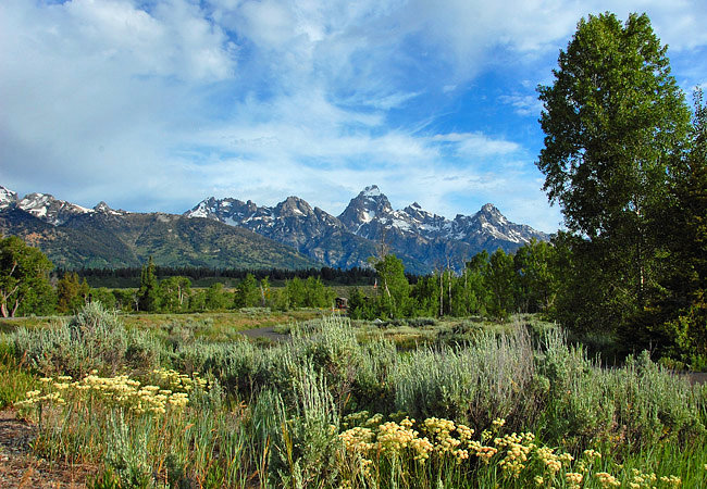 Grand Teton National Park - Jackson, Wyoming