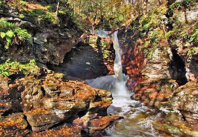 Adams Falls - Ricketts Glen State Park, Pennsylvania